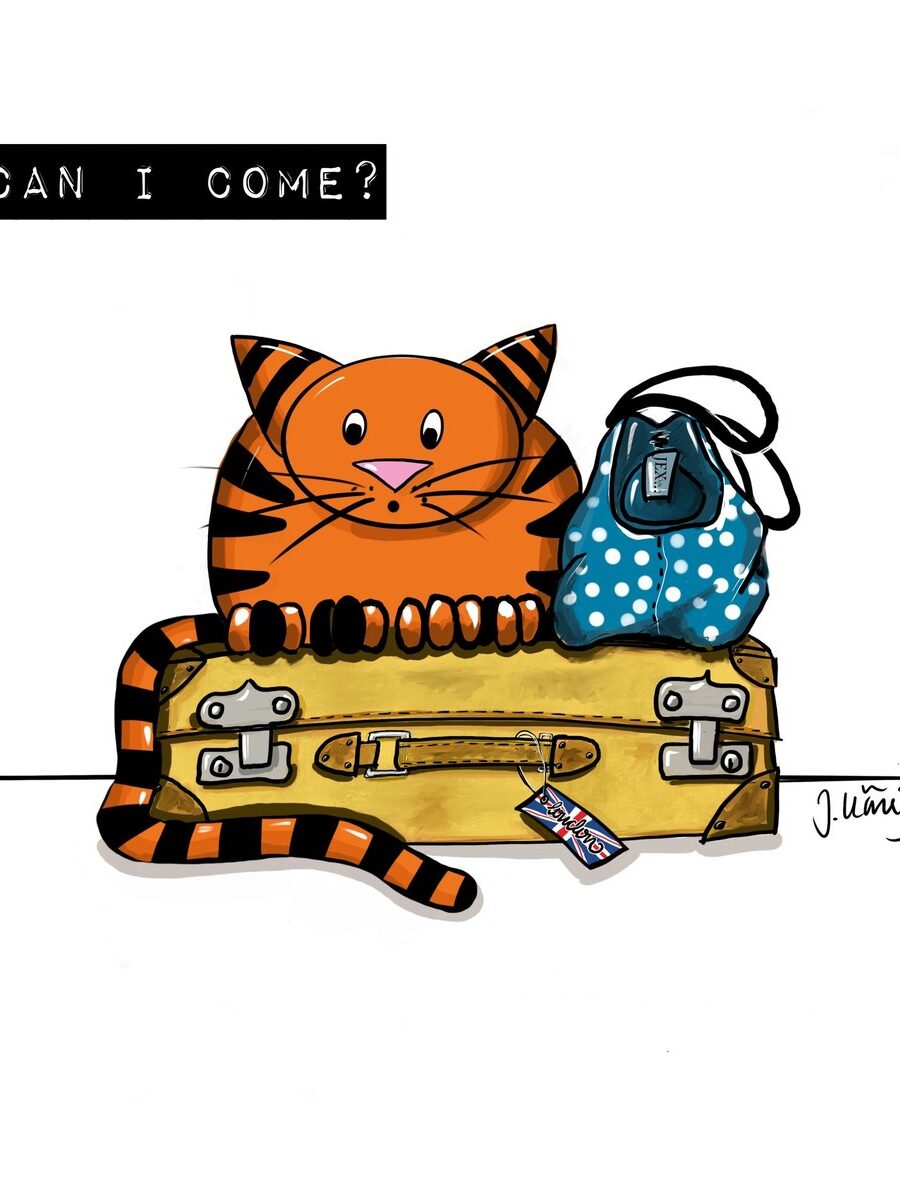 Magnet Can I come?