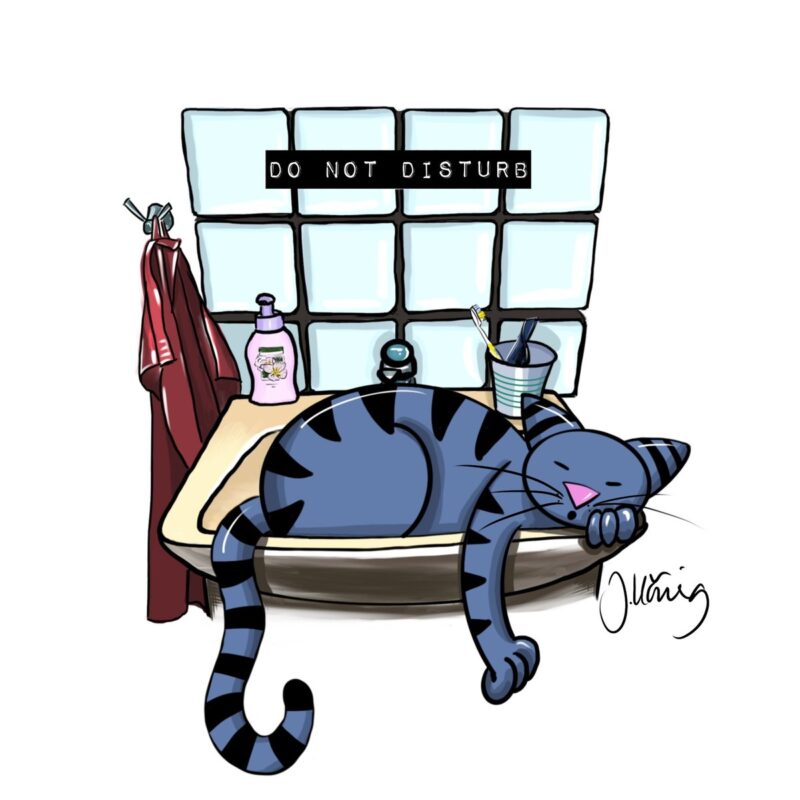 Magnet Do not disturb