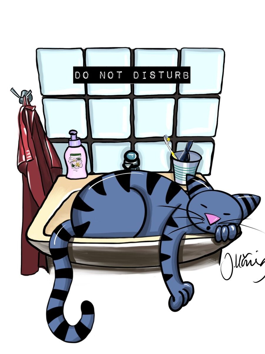 Magnet Do not disturb