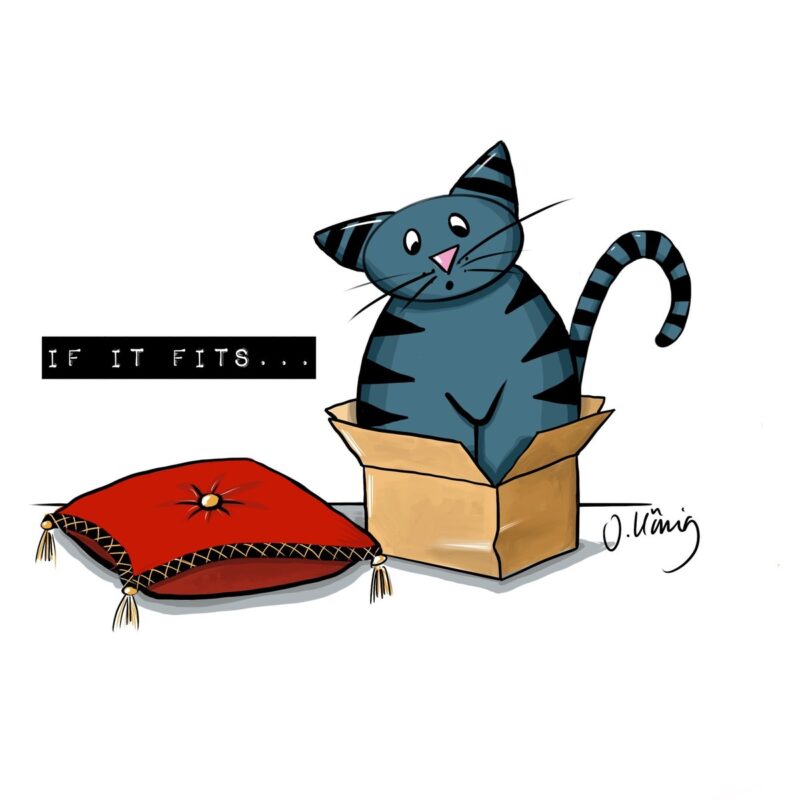 Magnet If it fits