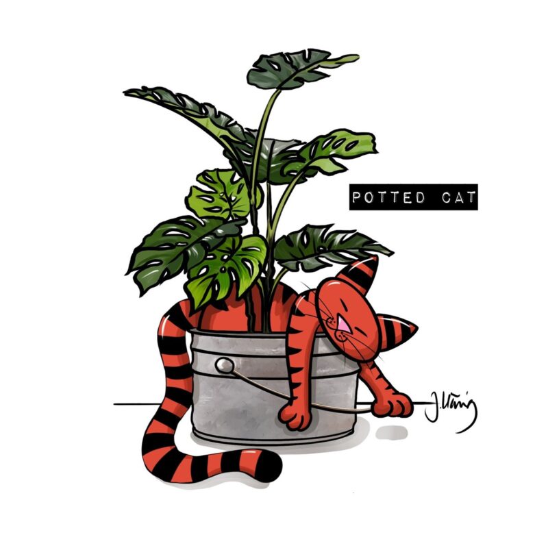Magnet Potted Cat