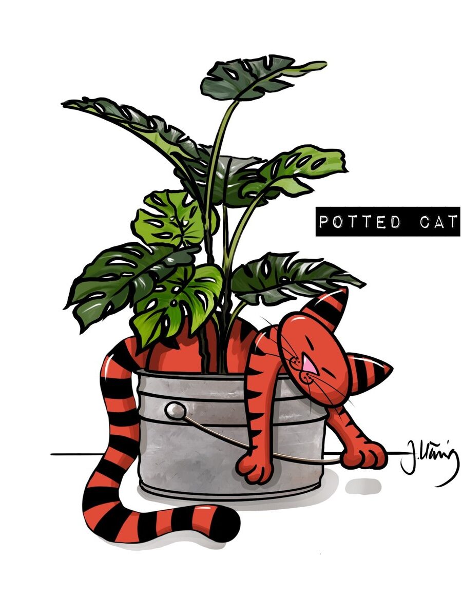 Magnet Potted Cat